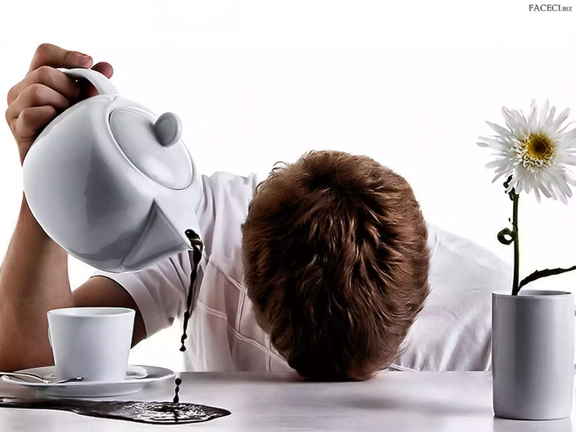 Mężczyzna, Kwiatek, Śpiący, Kawa